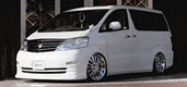 ALPHARD ANH-MNH 10W MC